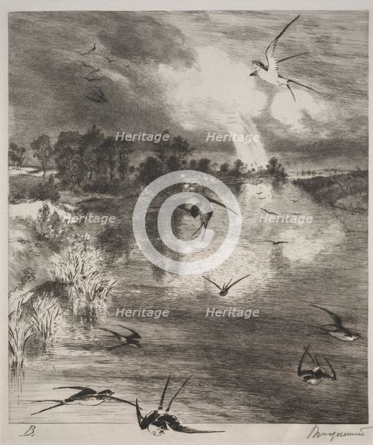 Swallows, 1882. Creator: Félix Bracquemond (French, 1833-1914).