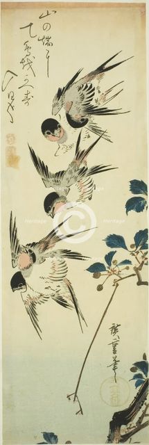 Swallows and flowering branch, 1830s. Creator: Ando Hiroshige.