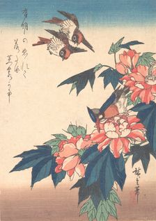 Swallows and Kingfisher with Rose Mallows , ca. 1838., ca. 1838. Creator: Ando Hiroshige
