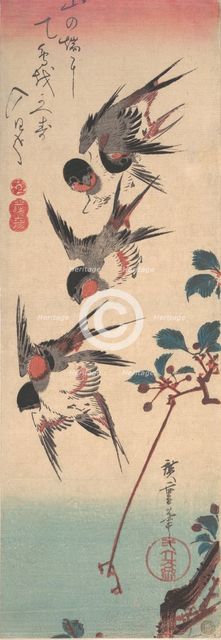 Swallows and Wild Cherry, ca. 1834., ca. 1834. Creator: Ando Hiroshige.