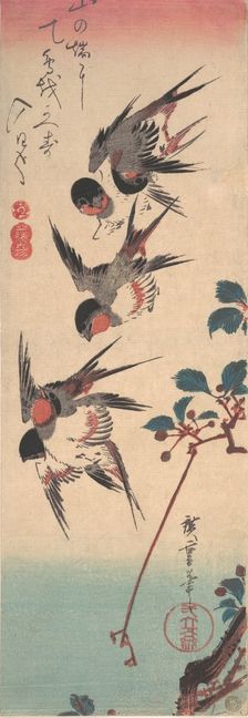 Swallows and Wild Cherry, ca. 1834., ca. 1834. Creator: Ando Hiroshige