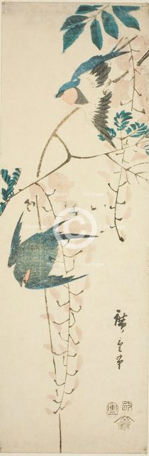 Swallows and wisteria, 1854. Creator: Ando Hiroshige.