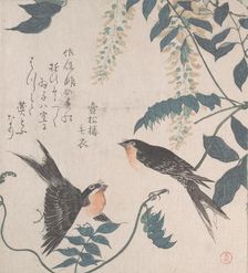 Swallows and Wisteria, 19th century. Creator: Kubo Shunman