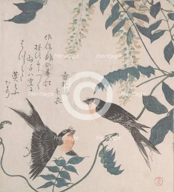 Swallows and Wisteria, 19th century. Creator: Kubo Shunman.
