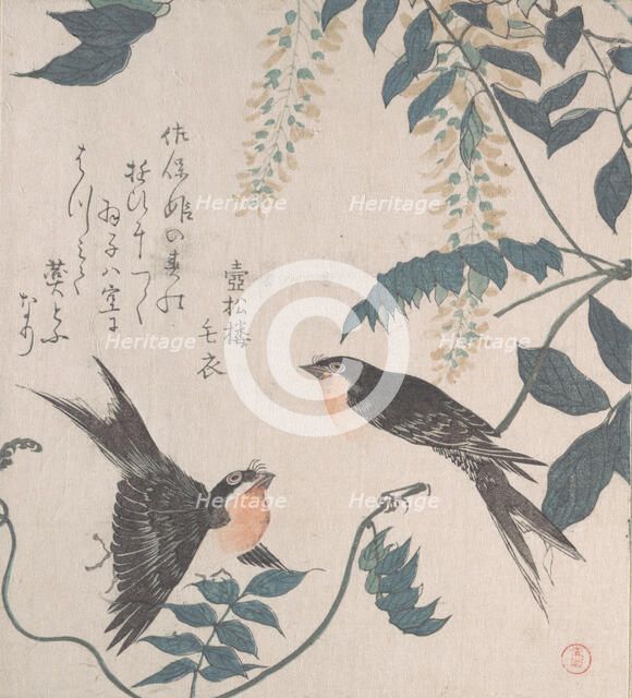 Swallows and Wisteria, 19th century. Creator: Kubo Shunman.