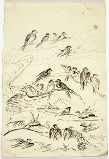 Swallows Before They Take Their Departure, n.d. Creator: James Ward