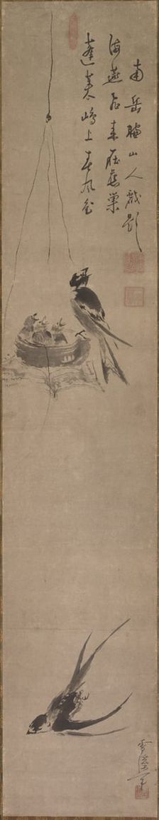 Swallows, late 1600s-early 1700s. Creator: Sekkei Yamaguchi (Japanese, 1644-1732)