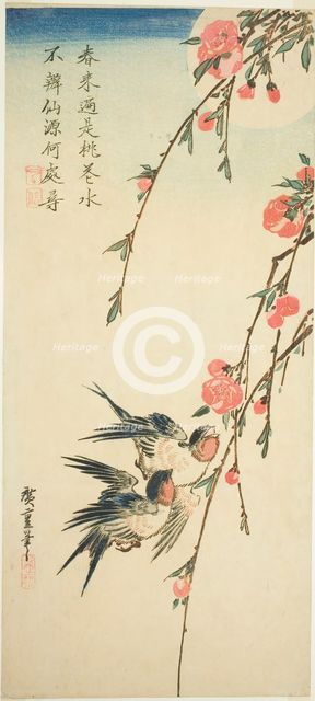Swallows, peach blossoms, and full moon, 1830s. Creator: Ando Hiroshige.