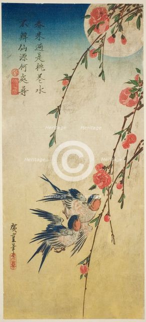 Swallows, peach blossoms, and full moon, 1830s. Creator: Ando Hiroshige.