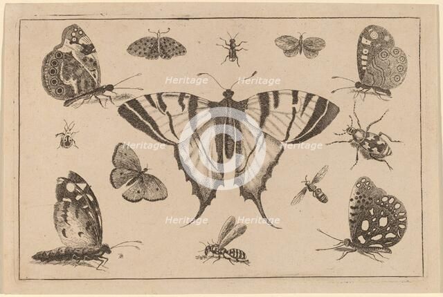Swallow-tailed Butterfly and Twelve Other Insects. Creator: Wenceslaus Hollar.