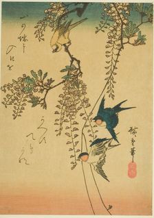 Swallow, yellow bird, and wisteria, 1830s-1840s. Creator: Ando Hiroshige
