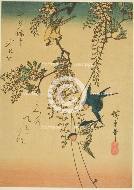 Swallow, yellow bird, and wisteria, 1830s-1840s. Creator: Ando Hiroshige.