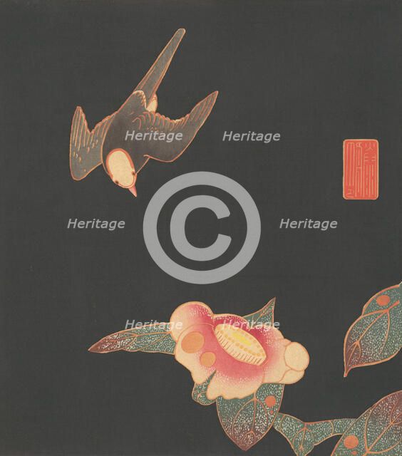Swallow and Camellia, ca. 1900. Creator: Ito Jakuchu.
