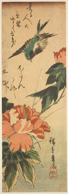 Swallow and hibiscus, c. 1830s. Creator: Ando Hiroshige