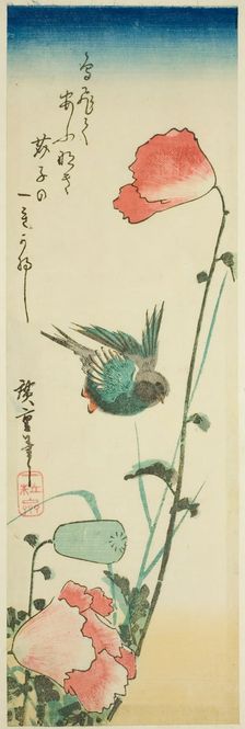 Swallow and poppies, c. 1830s. Creator: Ando Hiroshige