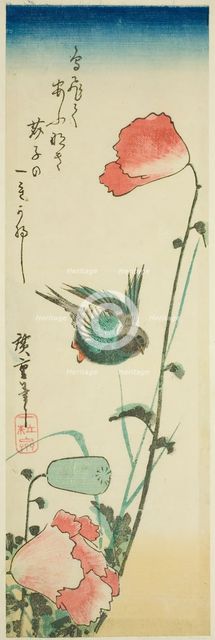 Swallow and poppies, c. 1830s. Creator: Ando Hiroshige.
