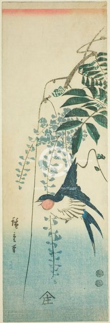 Swallow and wisteria, c. 1847/52. Creator: Ando Hiroshige.
