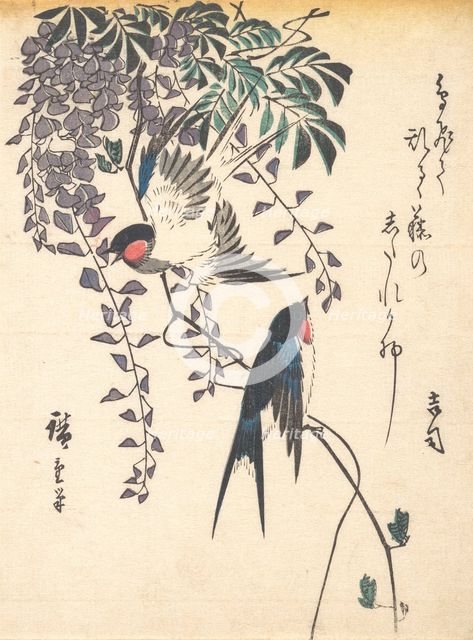 Swallow and Wisteria, mid-1840s., mid-1840s. Creator: Ando Hiroshige.