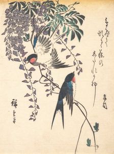 Swallow and Wisteria, mid-1840s., mid-1840s. Creator: Ando Hiroshige