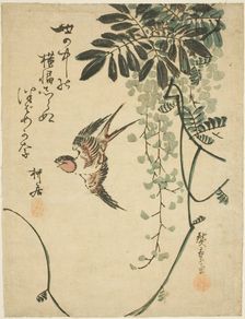 Swallow and wisteria, n.d. Creator: Ando Hiroshige