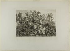 Swamp Plants, n.d. Creator: Carl Wilhelm Kolbe the elder