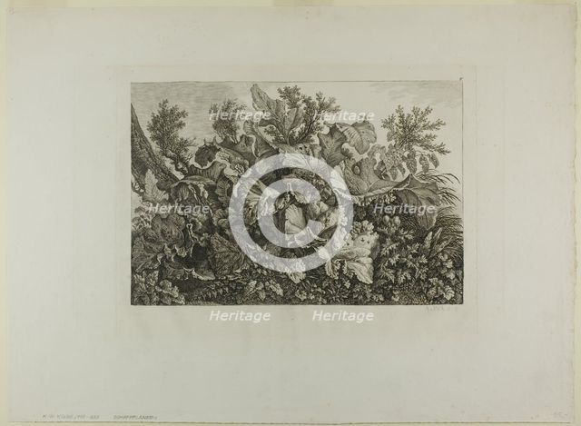 Swamp Plants, n.d. Creator: Carl Wilhelm Kolbe the elder.