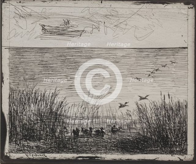 Swamp with Ducks, original impression 1862, printed in 1921. Creator: Charles François Daubigny (French, 1817-1878).