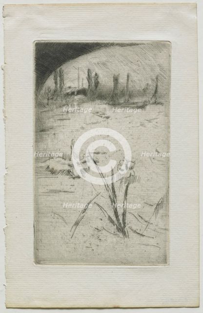 Swan and Iris, 1883. Creator: James McNeill Whistler (American, 1834-1903).