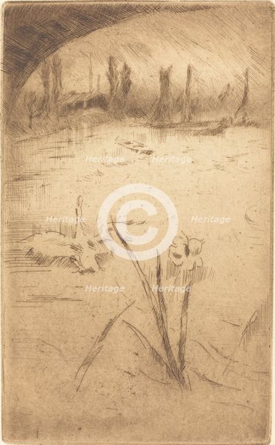 Swan and Iris, published 1883. Creator: James Abbott McNeill Whistler.