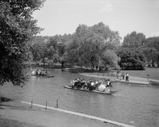 Swan boats, Public Gardens, Boston, Mass., between 1900 and 1906. Creator: Unknown