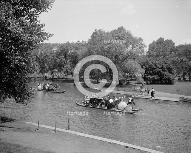 Swan boats, Public Gardens, Boston, Mass., between 1900 and 1906. Creator: Unknown.