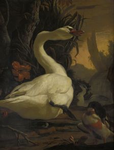 Swan, c1700. Creator: Abraham Busschop