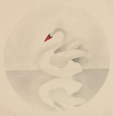 Swan. Creator: Mary Altha Nims (American, 1817-1907)