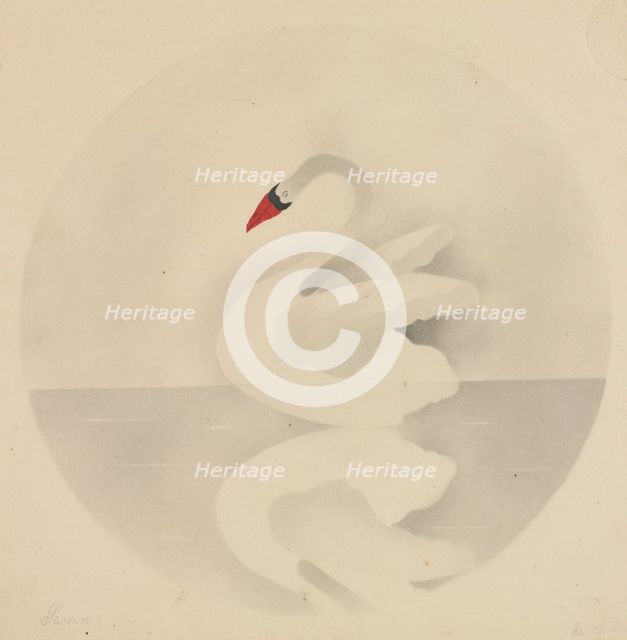 Swan. Creator: Mary Altha Nims (American, 1817-1907).