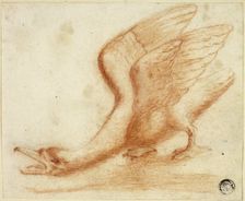 Swan, n.d. Creator: Unknown