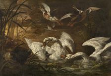 Swans and Dogs, c1640-1670. Creator: Nicasius Bernaerts