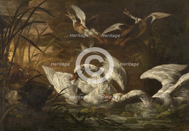 Swans and Dogs, c1640-1670. Creator: Nicasius Bernaerts.