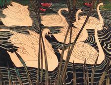 Swans, c. 1900. Creator: Spilliaert, Léon (1881-1946)