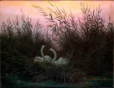 Swans in the Reeds c1794-c1831. Artist: Caspar David Friedrich