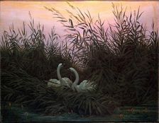 Swans in the Reeds c1794-c1831. Artist: Caspar David Friedrich