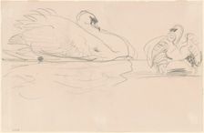 Swans in the Water, 1880-1900. Creator: John Singer Sargent