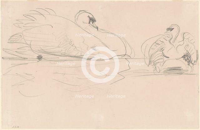 Swans in the Water, 1880-1900. Creator: John Singer Sargent.