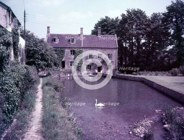 Swans on the pond, Blockley, Gloucestershire, c1955.  Creator: Arthur Charles Kirby Ware.