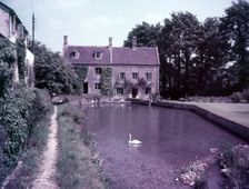 Swans on the pond, Blockley, Gloucestershire, c1955. Creator: Arthur Charles Kirby Ware