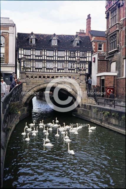 Swans on the River Witham in front of High Bridge seen from the east, Lincoln, Lincolnshire, 1976. Creator: Dorothy Chapman.