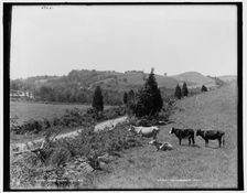 Swartswood Lake, N.J., between 1890 and 1901. Creator: Unknown
