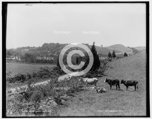 Swartswood Lake, N.J., between 1890 and 1901. Creator: Unknown.