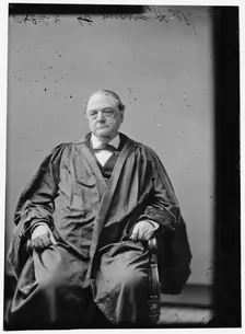 Swayne, Judge (Supreme Court), between 1870 and 1880. Creator: Unknown