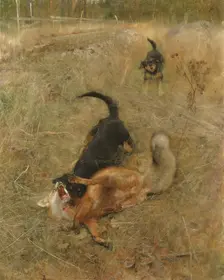 Swedish Foxhound and Fox, 1885. Creator: Bruno Liljefors
