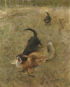 Swedish Foxhound and Fox, 1885. Creator: Bruno Liljefors